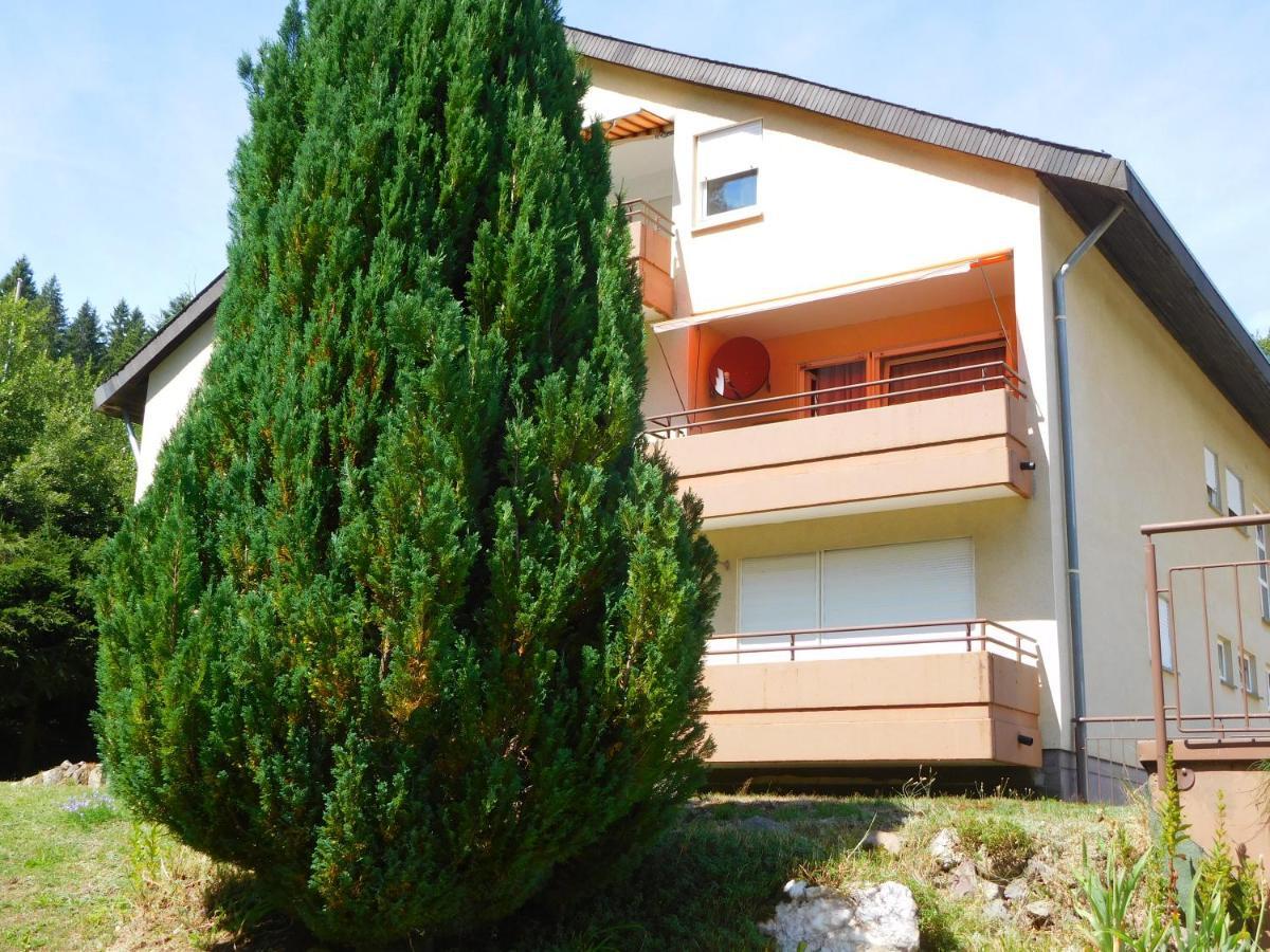 Ferienwohnung Schwarzwaldrauschen Schönwalde Exterior foto